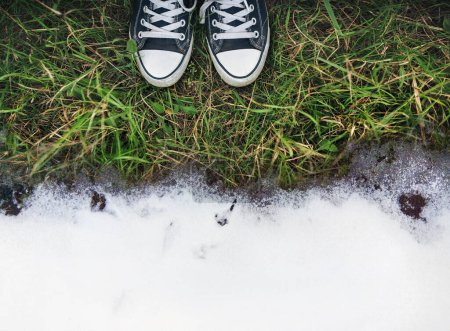 Foto de El comienzo de la primavera. El límite entre la hierba en el suelo y la nieve blanca simboliza la transición del invierno a la primavera o del otoño al invierno. La nieve se derrite
. - Imagen libre de derechos