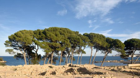 Téléchargez les photos : La ville grecque d'Empurias ruines par la mer, province de Gérone, Espagne - en image libre de droit