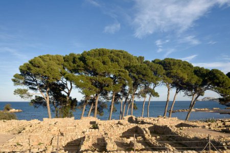 Téléchargez les photos : La ville grecque d'Empuries ruines par la mer, province de Gérone, Espagne - en image libre de droit