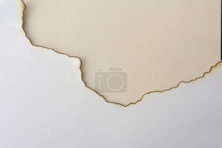 Photo for White burnt paper with cream background - Royalty Free Image