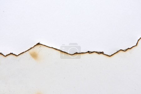 Photo for Line of burnt paper on white background - Royalty Free Image