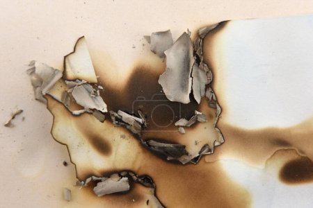 Photo for White burnt paper with crem background - Royalty Free Image