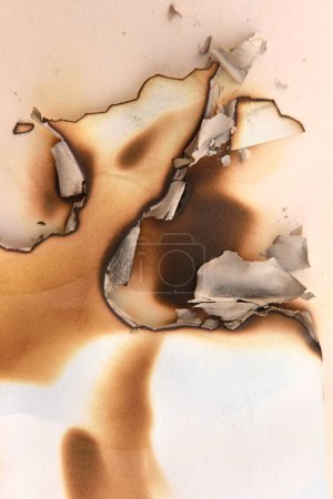 Photo for Burnt white paper with ashes on cream background - Royalty Free Image