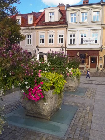 Foto de Rynku prostopadle, flores brillantes en macizos de flores, atracciones, Bielsko-Biala, Polonia - Imagen libre de derechos