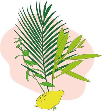 Illustration for Four plants for the jewish holiday sukkot - Royalty Free Image