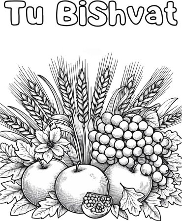  Creating a Tu Bishvat coloring page. Holiday symbols - fruits Black and white linear vector illustration. Coloring pages for children.