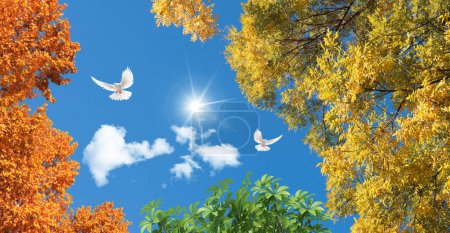 Photo for White doves flying in the sunny blue sky. Yellow, green and orange color tree leaves. Autumn season. 3d stretch ceiling decoration pattern. - Royalty Free Image