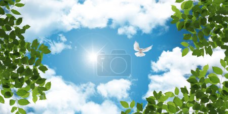 Photo for Stretch ceiling sky model. White dove flying among green tree leaves. bottom up view sunny sky. - Royalty Free Image