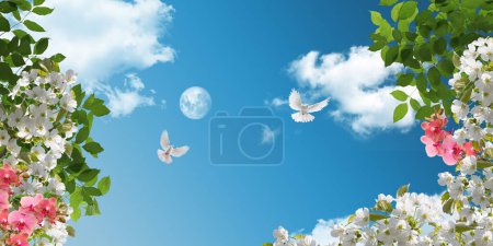 Téléchargez les photos : White doves flying among green tree leaves and blooming tree branches. Full moon and clouds in the early morning sky in the background. 3d stretch ceiling decoration picture - en image libre de droit