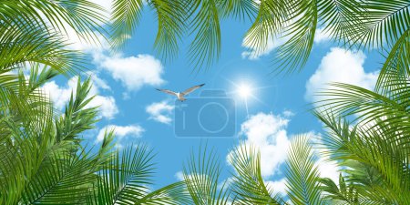 Foto de Gaviota volando sola entre nubes y hojas de palma en un hermoso cielo soleado. Vista del cielo de abajo hacia arriba. Estiramiento modelo cielo cielo raso. - Imagen libre de derechos