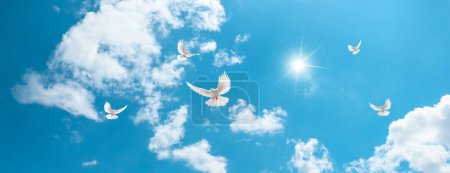 Sol brillante en el hermoso cielo azul y palomas blancas volando entre las nubes. Imagen de decoración de techo 3D.