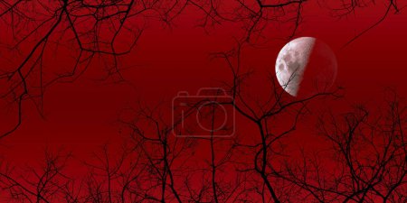 Foto de Cielo rojo, luna llena sobre los árboles. Escena del Juicio Final. Bosque de terror ficticio. - Imagen libre de derechos