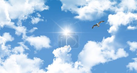 Seagull flying freely among white clouds in the sunny blue sky