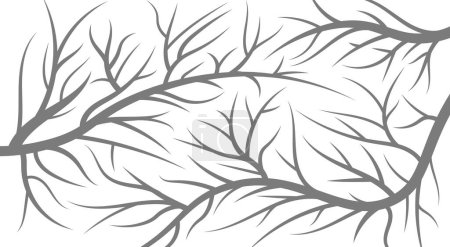 Téléchargez les photos : Motif de plafond extensible. Motif dessiné à la main de branches d'arbres sans feuilles sur fond blanc. - en image libre de droit