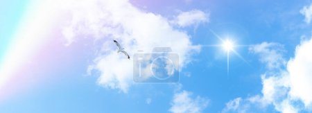 Rainbow in the beautiful sunny sky on a summer day. Seagull flying freely in the sunny blue sky.