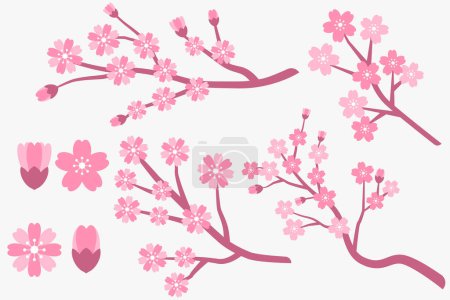 Téléchargez les illustrations : Flat design cherry blossom, sakura branches and flowers collection - en licence libre de droit
