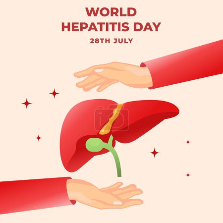 Illustration for World hepatitis day illustration with liver and two hands - Royalty Free Image