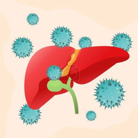 Illustration for Vector illustration hepatitis viruses attacking liver - Royalty Free Image