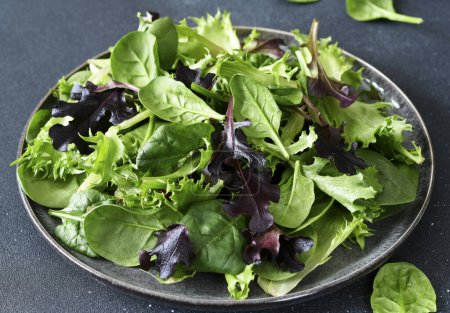 Photo for Lettuce leaves in a plate on a dark background. - Royalty Free Image