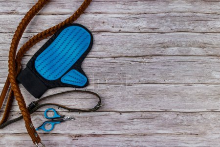 Photo for Dog accessories on wood background. Blue rubber grooming glove, claw clipper, brown leather leash and spiked collar for dog on wooden background. Top view, copy space. Pet care concept - Royalty Free Image