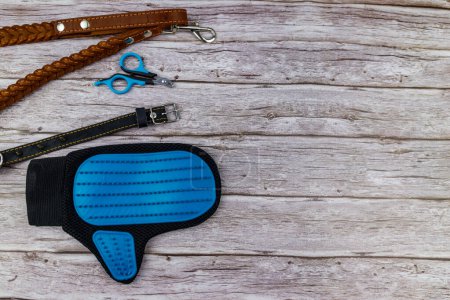 Photo for Dog accessories on wood background. Blue rubber grooming glove, claw clipper, brown leather leash and spiked collar for dog on wooden background. Top view, copy space. Pet care concept - Royalty Free Image