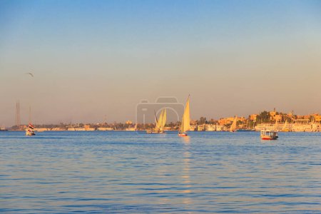 Photo for Felucca boats sailing on the Nile river in Luxor, Egypt. Traditional Egyptian sailing boats - Royalty Free Image
