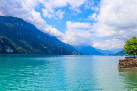 Téléchargez les photos : Vue sur le lac Brienz et les Alpes suisses à Brienz, Suisse - en image libre de droit