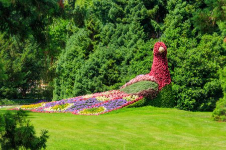 Téléchargez les photos : Paon fait de fleurs sur l'île de fleurs Mainau sur le lac de Constance, Allemagne - en image libre de droit