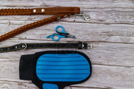 Photo for Dog accessories on wood background. Blue rubber grooming glove, claw clipper, brown leather leash and spiked collar for dog on wooden background. Top view. Pet care concept - Royalty Free Image