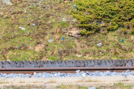 Téléchargez les photos : Gros plan sur les voies ferrées à roue dentée - en image libre de droit