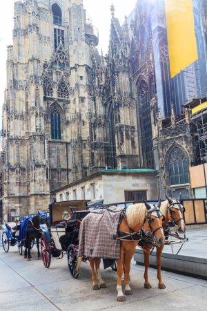 Chariot tiré par des chevaux près de la cathédrale Saint-Étienne à Vienne, Autriche. Attraction touristique traditionnelle à Vienne