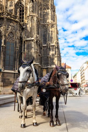 Pferdekutsche in der Nähe des Stephansdoms in Wien. Traditionelle Touristenattraktion in Wien