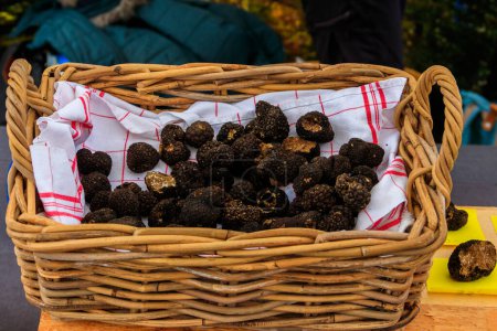 Expensive black truffles gourmet mushrooms in basket