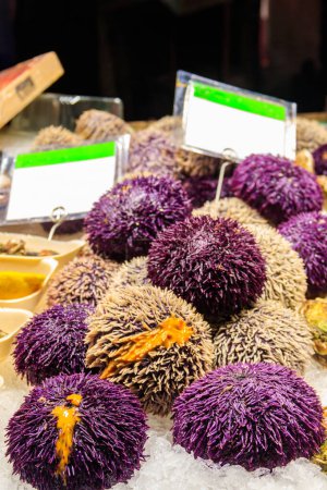Fresh sea urchins in a market