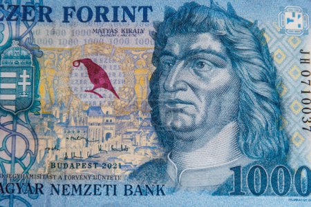 Macro shot of 1000 Hungarian forint bill