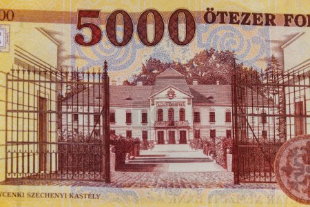 Makroaufnahme von 5000 ungarischen Forint-Scheinen
