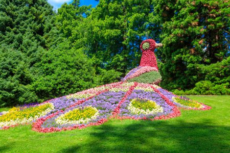 Téléchargez les photos : Paon fait de fleurs sur l'île de fleurs Mainau sur le lac de Constance, Allemagne - en image libre de droit