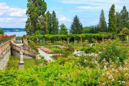 Italian rose garden on the island of flowers Mainau on Lake Constance, Germany
