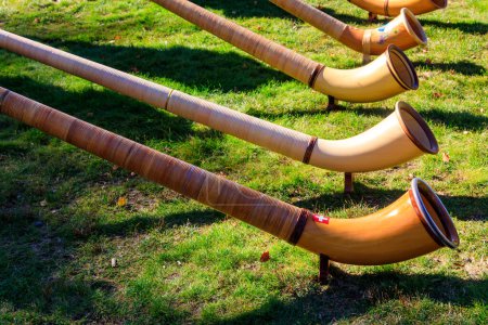 Photo for Alphorns laying on the grass on the alpine meadow - Royalty Free Image