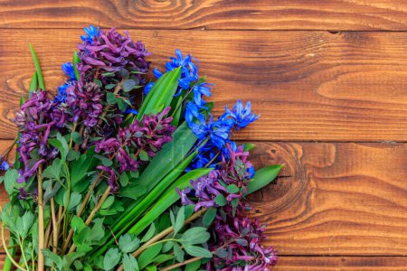 Bouquet of purple corydalis flowers and blue scilla flowers on wooden background. First spring flowers. Greeting card for Valentine's Day, Women's Day and Mother's Day. Top view, copy space