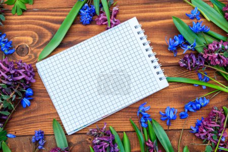 Notizblock und Strauß lila Corydalis-Blumen und blauer Scilla-Blumen auf Holzgrund. Grußkarte zum Valentinstag, Frauentag und Muttertag. Ansicht von oben, Kopierraum