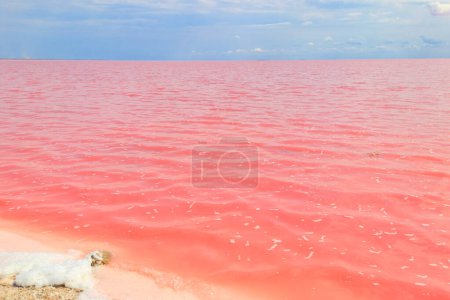 Blick auf den rosa Salzsee Sywascha im Gebiet Cherson, Ukraine