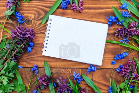 Blank notepad and bouquet of purple corydalis flowers and blue scilla flowers on wooden background. Greeting card for Valentine's Day, Women's Day and Mother's Day. Top view, copy space