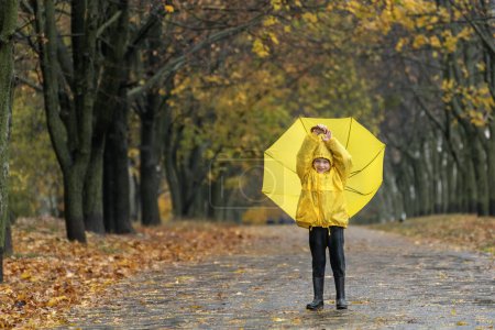Téléchargez les photos : L'enfant se promène sous la pluie dans un parc d'automne avec un grand parapluie jaune. Feuilles tombantes. - en image libre de droit