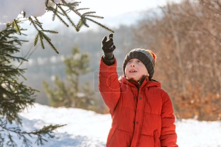 Téléchargez les photos : Petit garçon en veste rouge dans la forêt d'hiver secoue branche d'épinette dans les rayons du soleil brillant. Écolier pendant les vacances. - en image libre de droit