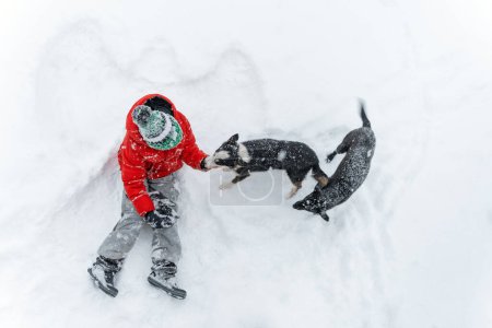 Foto de Niño con chaqueta roja se sienta en la nieve con perros sobre fondo de ángel de nieve. Concepto de perros de rescate. Vista superior - Imagen libre de derechos