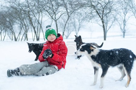 Foto de Niño en el invierno al aire libre con perros perro. Adolescente se sienta en la nieve rodeado de mongrels - Imagen libre de derechos