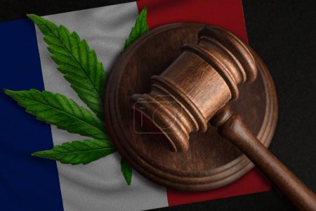 Téléchargez les photos : Drapeau de France et justice marteau en bois avec feuille de cannabis. Croissance illégale de plantes de cannabis et propagation de drogues - en image libre de droit