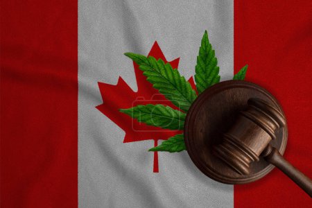 Téléchargez les photos : Drapeau du Canada et marteau de justice avec feuille de cannabis. Croissance illégale de plantes de cannabis et propagation de drogues. - en image libre de droit