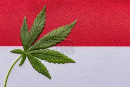 Téléchargez les photos : Drapeau de l'Indonésie près et feuille de cannabis frais. Culture et distribution illégales. Usage médical. - en image libre de droit